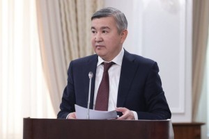 Единый пакет льгот для инвесторов предлагают ввести в Казахстане