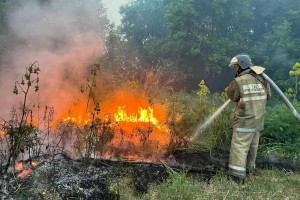 Пожар вспыхнул в резервате «Семей орманы»