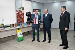 Президент посетил Опытное хозяйство масличных культур в ВКО