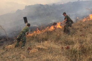 Вторые сутки тушат пожар в Жамбылской области