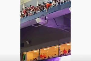 
                    Футбольный матч завершился массовым спасением кошки
                