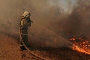 
                    В Восточном Казахстане сохраняется высокая пожароопасность
                