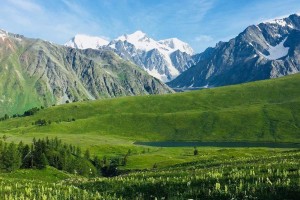 
                    Туристку спасли в горах Восточного Казахстана
                