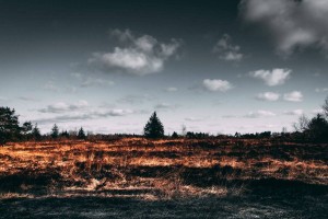 
                    Новых очагов природных пожаров в Карагандинской области не обнаружено
                