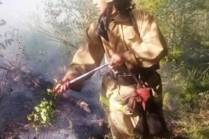 
                    В горах Катон-Карагайского района ВКО продолжают тушить пожар
                