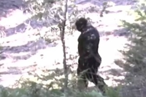 
                    Запечатленного на видео снежного человека активно обсуждают пользователи интернета
                
