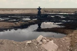 Гибель верблюда на месте розлива нефти в Мангистау прокомментировали в Минэкологии