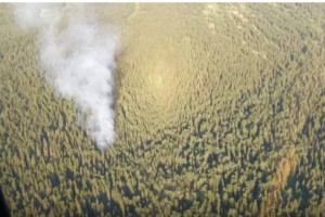 С пожаром высоко в горах борются в Восточном Казахстане