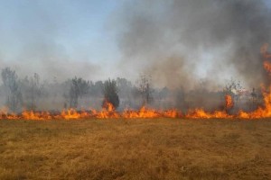 Большая часть пожара в Карагандинской области потушена