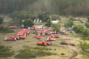 
                    В резервате «Ертіс орманы» Павлодарской области продолжают тушить пожар
                