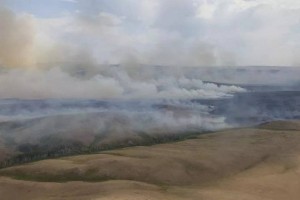 
                    Пожар произошел в Баянаульском нацпарке
                