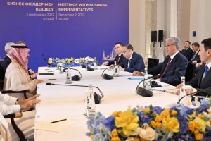 Токаев обсудил ряд инвестпроектов с председателем Совета директоров ACWA Power