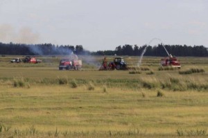 Загорание в лесничестве «Ертіс-Орманы» Павлодарской области локализовано