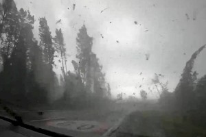 
                    Мощный ураган в Беларуси, поваливший десятки деревьев, попал на видео
                