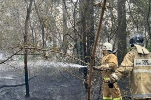 
                    Лесной пожар в области Абай локализован
                