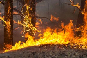 
                    В соцсетях сообщили о пропаже еще одного человека в Абайской области
                