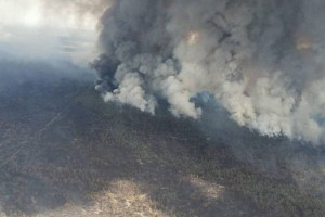 
                    Жителей области Жетысу просят сохранять спокойствие
                
