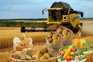 Более 300 инвестпроектов запустят в сельском хозяйстве до конца года