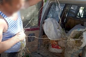 У жителя Жетысуской области изъяли около 100 килограммов незаконно выловленной рыбы