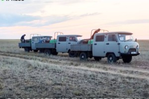 
                    Химобработка против итальянского пруса завершена на 1,1 млн га – Минсельхоз
                