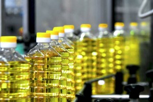 
                    В каком регионе Казахстана растительного масла произвели больше всего
                