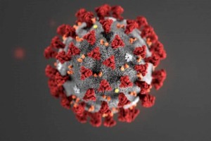 
                    Закон о COVID-19 вынесли на референдум в Швейцарии
                