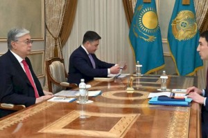
                    Токаев принял председателя правления АО «НК «КазМунайГаз»
                