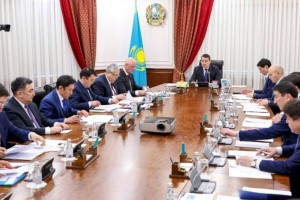 
                    В Казахстане примут меры по демонополизации сфер производства нефтепродуктов и авиаперевозок
                