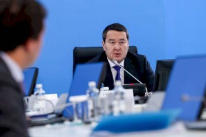 
                    Алихан Смаилов: ближайшие годы пройдут под знаком развития сельских территорий
                