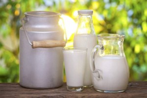 Как изменились цены на молочные продукты в Казахстане