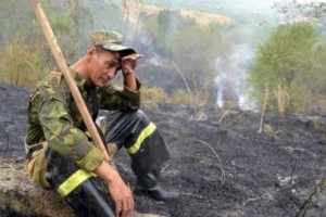 
                    В Алматы за сутки ликвидировали восемь очагов пожаров
                