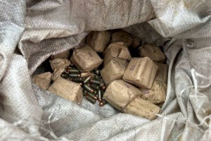 
                    Полицейские обнаружили тайник с боеприпасами в Талдыкоргане
                