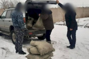 
                    149 килограммов рыбы незаконно перевозил житель Павлодара
                
