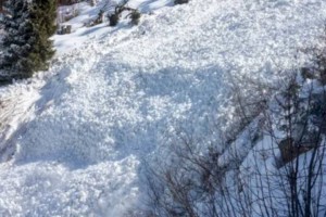
                    В горах Алматы сошли четыре лавины
                