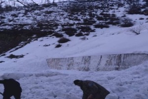 
                    Лавина перекрыла дорогу к озеру Иссык в Алматинской области
                
