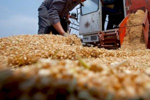 
                    Казахстан удвоил поставки пшеницы в Европу в 2022 году
                