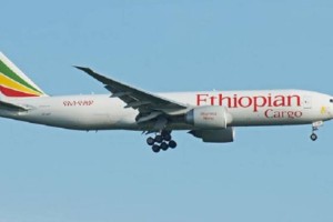 
                    Boeing 737 по ошибке приземлился в недостроенном аэропорту в Замбии
                