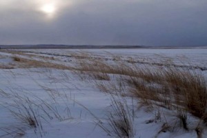 
                    Мужчина насмерть замерз в степи в Карагандинской области
                