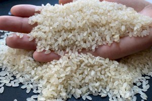 
                    На какие продукты в Казахстане за неделю повысились цены
                