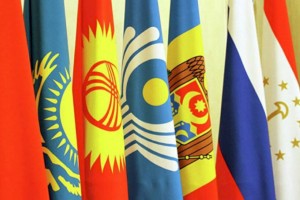 
                    В СНГ планируют создать комиссию по правам человека
                
