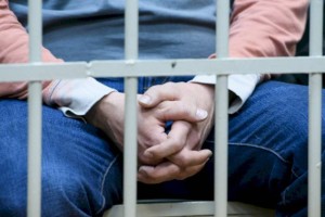 Антикор задержал чиновников Комитета лесного хозяйства и животного мира