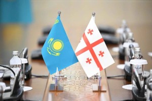 
                    Депутаты Парламента Грузии отметили важность проводимых в Казахстане реформ
                