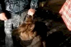Крупная партия марихуаны изъята у жителя Алматинской области