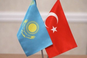 
                    Казахстан поможет Турции восстановить соцобъекты
                