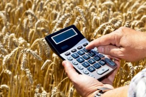 На 0,4% снизились цены производителей сельхозпродукции в Казахстане