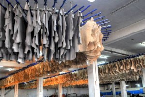 Сколько заработали казахстанские производители на экспорте кожи