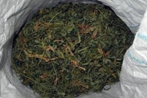 
                    Не в дверь, так в окно: крупную партию марихуаны изъяли в Алматы
                