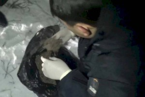 
                    Четыре килограмма марихуаны собрали в степи трое жителей Алматинской области
                