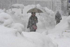 
                    Жертвами снегопадов в Японии стали 29 человек
                
