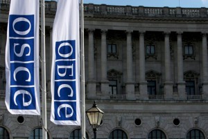 
                    ОБСЕ встревожена событиями в Вашингтоне
                